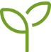 seedling
